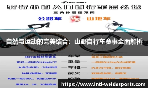 韦德体育